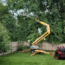 Best Tree Maintenance Programs  in Centre, AL